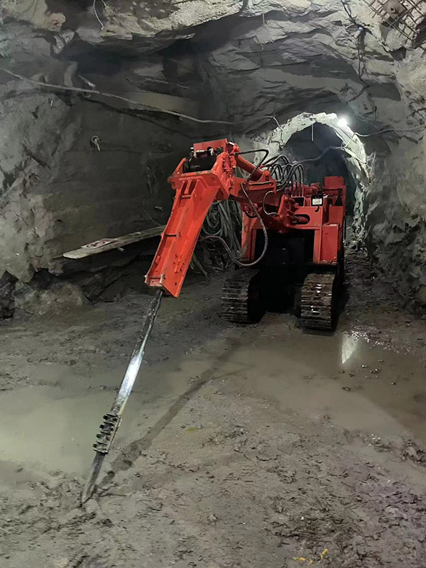 撬毛臺車案例.jpg 撬毛臺車案例.jpg